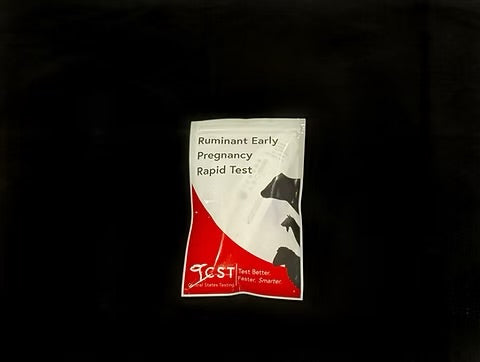 Chute-Side Ruminant Pregnancy Test - Single